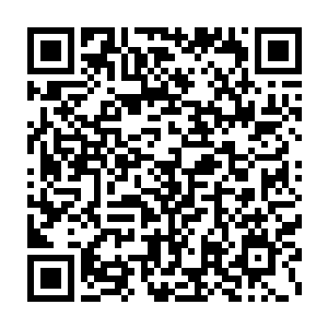 许紫烟在白天布阵的举动被很多势力在星辰冒险团外留下的探子看到二维码生成