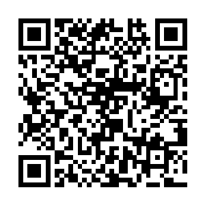 许紫烟坚信・周围这些修士的身家和自己差不了哪去二维码生成