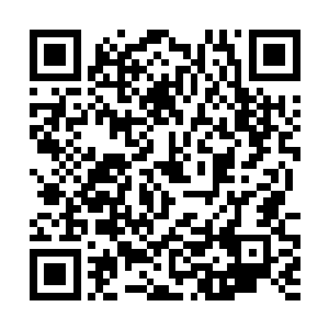 许紫烟坚信当那个琅琊将那条右腿中的神识炼化之后二维码生成