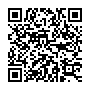 许紫烟大概看了一下・就这些东西足够一个太玄宗用上十几年的二维码生成