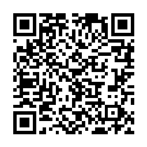 许紫烟好笑地屈起手指在小白的头上使劲儿地敲了一下道二维码生成