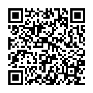 许紫烟将从天族那里得到的玉简送进了藏书阁第一层二维码生成