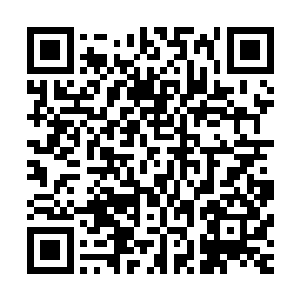 许紫烟将那数十片残片一股脑地扔进了那个瓶子一样的独峰中二维码生成