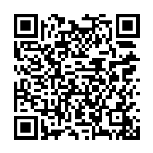 许紫烟就知道寒丹不希望她再在这里纠缠这个事情二维码生成