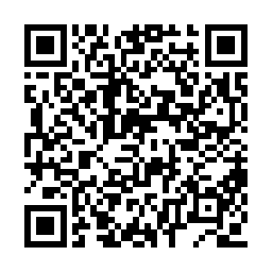 许紫烟就让所有的人从现在开始就修炼武修功法二维码生成