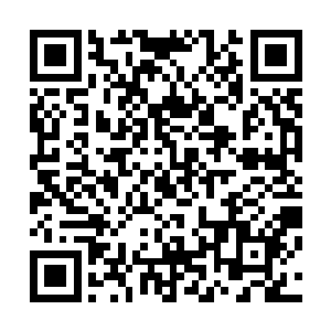 许紫烟已经开始面对圣级大圆满中期的混沌兽和域外天魔了二维码生成