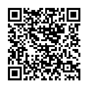 许紫烟带着四个大罗金仙后期巅峰进入了结界之内二维码生成