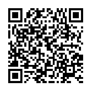 许紫烟并没有立刻屁颠屁颠地随着大长老去拜见星域宗宗主二维码生成