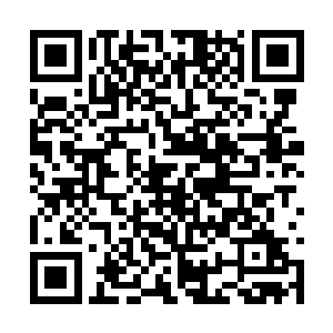 许紫烟开始有意识地围绕着暴乱海周围搜寻了起来二维码生成