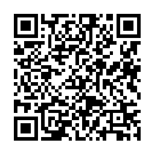 许紫烟很遗憾哪怕以自己圣级九层初期巅峰的修为二维码生成