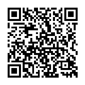 许紫烟微微歪着头看着站在自己对面的那个幻魔二维码生成