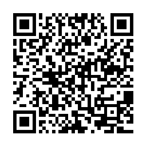 许紫烟微笑着从储物戒指中取出了一颗丹药交到杨睿的手中道二维码生成