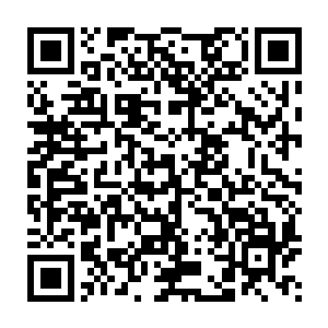 许紫烟心中明白・眼前之人就是火灵儿提起的那个已经死去的主人二维码生成