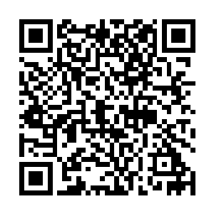许紫烟想起当初自己和文浩在散仙城内伏击严伟的事情二维码生成