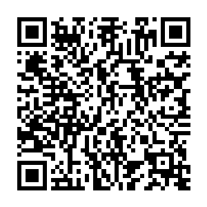 许紫烟感觉到宗主和各峰峰主的目光都有意无意地在自己的身上扫过二维码生成