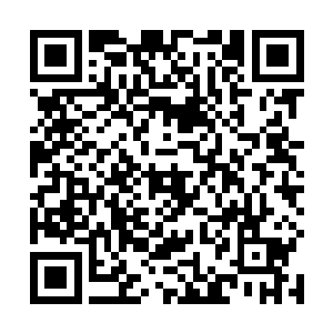 许紫烟愣愣地瞅着圆球中显示出来的那些被静止的修士二维码生成