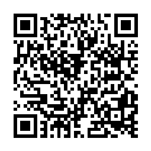 许紫烟才将迷宫中的所有活着的修士都接引了出来二维码生成