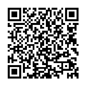 许紫烟抽中的对手是一个器宗的人尊初期大修士二维码生成