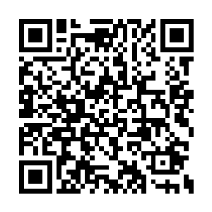 许紫烟曾经在陪着林绯虞于廷岚山脉的那一年里二维码生成