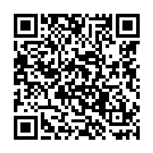 许紫烟曾经让丹一和丹二总共炼制出来十二颗狂暴丹二维码生成