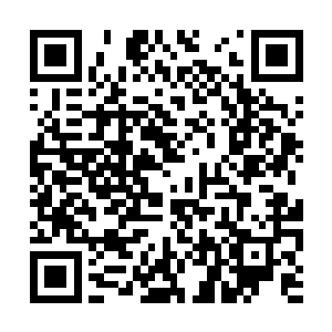 许紫烟望着从沉醉中清醒过来的林飞夜轻声地问道二维码生成
