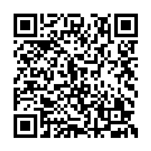 许紫烟根本都没有问揽月峰两个弟子是什么修为二维码生成