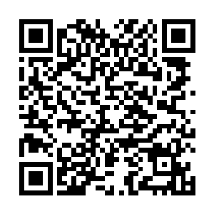 许紫烟此时心里虽然很担心十八个小古藤和燕星云等人二维码生成