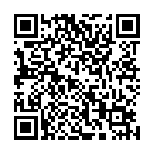 许紫烟此时本体强度和元神之力都达到了圣级九层后期巅峰二维码生成