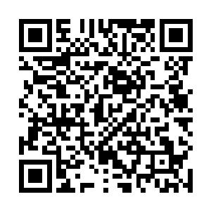 许紫烟没有要许家的人前来・倒是也没有人前来打扰她二维码生成