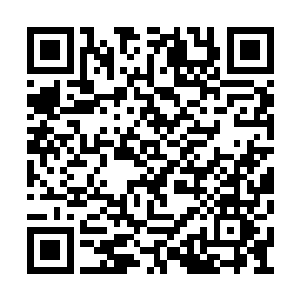 许紫烟渐渐地从许星繁给她的震惊中稳定了下来二维码生成