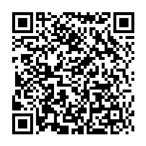 许紫烟猛然将自己的精神力铺天盖地向着那最后两个守护者压了过去二维码生成