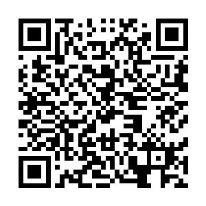 许紫烟猛然想起了当初自己在莲花峰上收起来的巨蛋的外壳二维码生成