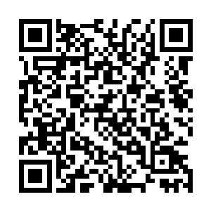 许紫烟猛然想起了董依依在地镇关上古遗迹中就曾经化形过二维码生成