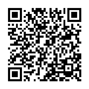 许紫烟猛然感觉到自己的储物戒指中传来了震动二维码生成