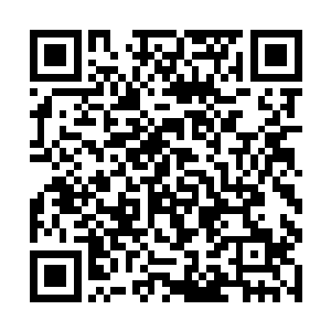 许紫烟用夸张的手势朝着周围那些穿山甲划拉着说道二维码生成