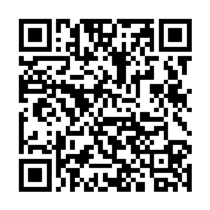 许紫烟的一缕神识化作许紫烟的模样站在桃花的跟前二维码生成