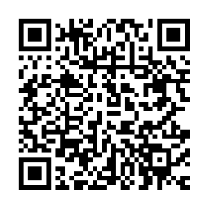 许紫烟的举动引起了远处的那些圣级混沌兽和域外天魔的注意二维码生成