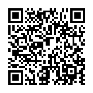 许紫烟的双目和眼前这个凌波的双目便重合到一起二维码生成