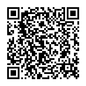 许紫烟的木之意终于因为许星东这个偶然的机会达到了中成巅峰的境界二维码生成