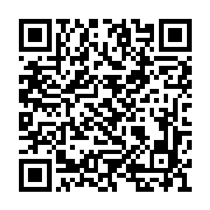 许紫烟的目光依次扫过十五个人尊期大修士问道二维码生成