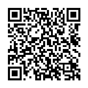 许紫烟的目光刚刚落到那个红发女修的背影之上二维码生成