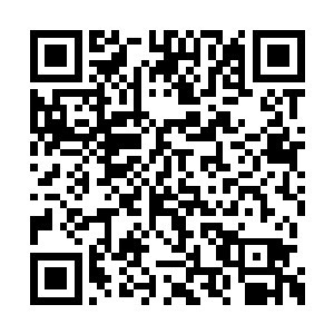 许紫烟的目光落在了站在自己面前的金无敌身上二维码生成