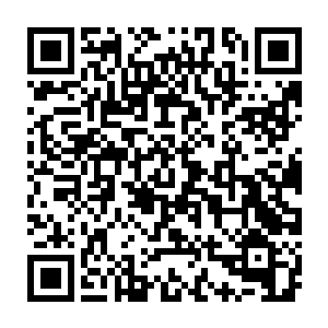 许紫烟的神识能够清晰地感觉到这棵巨树内蕴藏着极为浓郁的虚无之力二维码生成