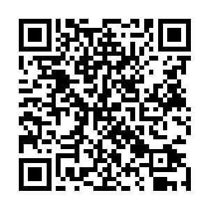 许紫烟的这个举动却令对面的那只三尾狐狸吓得飞快地倒退二维码生成