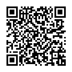 许紫烟目光一扫台子上的八种草药是能够炼制两颗蕴灵丹的份量二维码生成