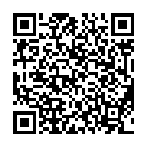 许紫烟目光扫过正向着自己凶厉猛扑的量家老祖和族长二维码生成