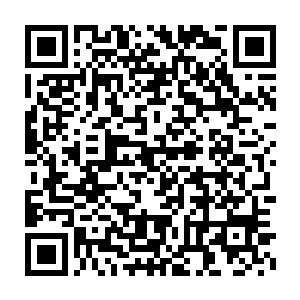 许紫烟直接祭出一只大手向着对面那两个圣级九层后期巅峰抓了过去二维码生成