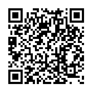 许紫烟知道是森林中的妖兽阶位正在逐渐地降低二维码生成