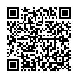 许紫烟知道自己身上已经没有再能够布下一座符阵的符箓了二维码生成