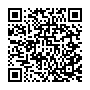 许紫烟立刻从储物戒指中取出了一张防御灵宝拍在自己的身上二维码生成